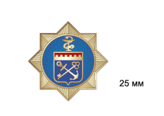 Постановление Губернатора Ленинградской области от 11.06.2021 N 45-пг "О мерах по реализации областного закона "О Почетном звании Ленинградской области "Почетный работник здравоохранения Ленинградской области"